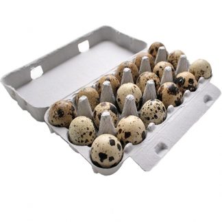 18 frische Wachteleier aus Freilandhaltung