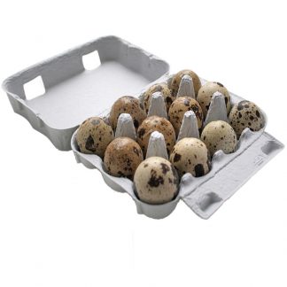 wachteleier-12-stueck-freiland. frische-wachteleier-12er-packung.