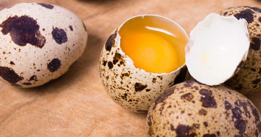 Wachteleier aus Freilandhaltung vom Wachtelhof-Odenwald