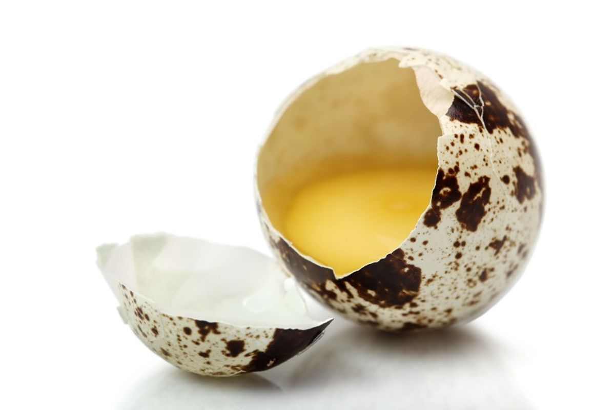 Wachtelei öffnen – sauber geöffnetes Wachtelei mit intaktem Eigelb