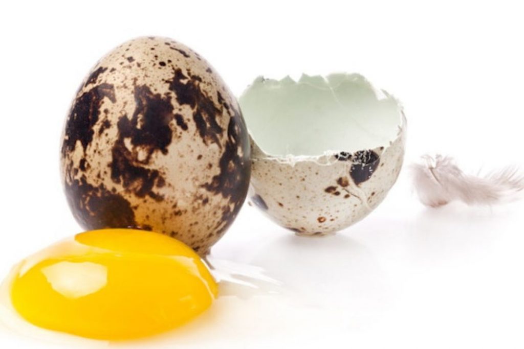 Wachtelei Nährwerte – Eigelb und Schale im Detail