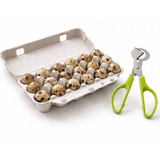 Wachteleier Set mit Schere – 18 frische Wachteleier im Karton mit Wachteleierschere