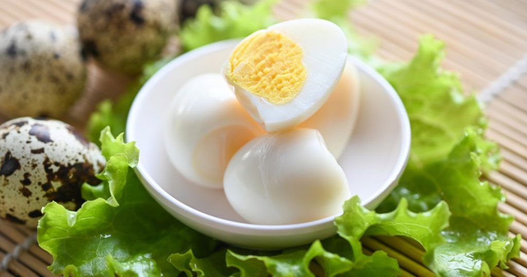 Frische Wachteleier aus Freilandhaltung vom Wachtelhof