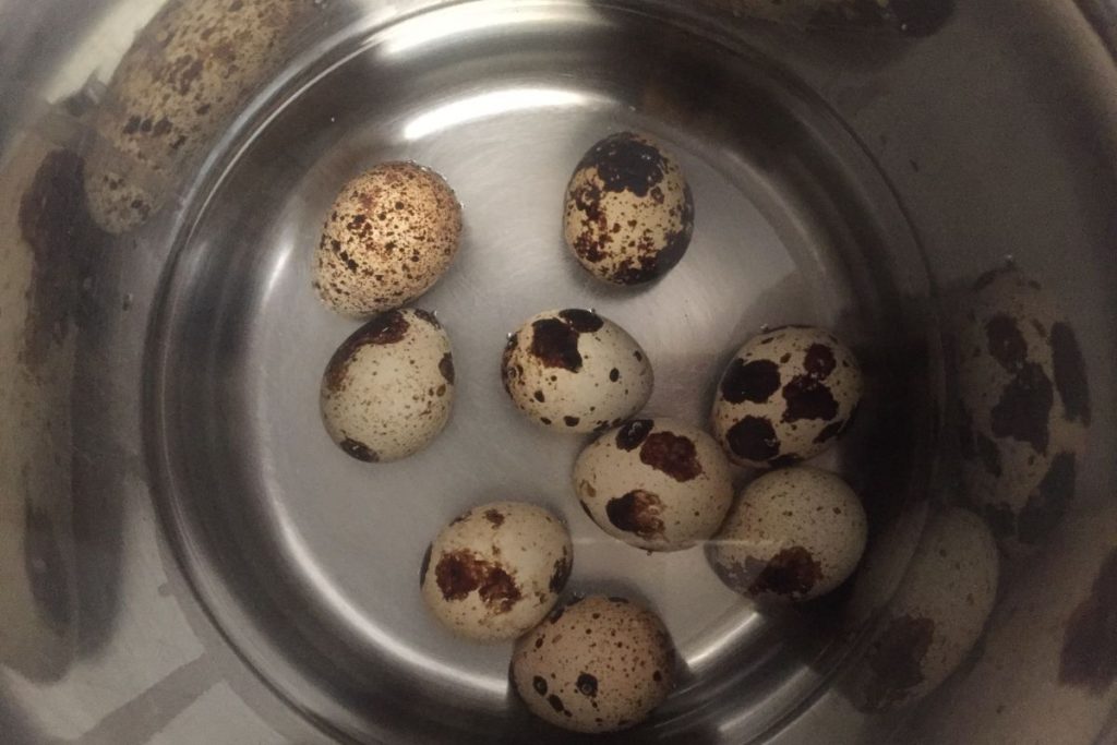 Wachteleier vorsichtig in kochendes Wasser legen